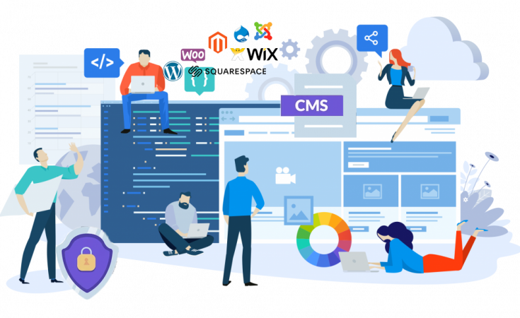 TechZee IT Solutions Web Development and CMS